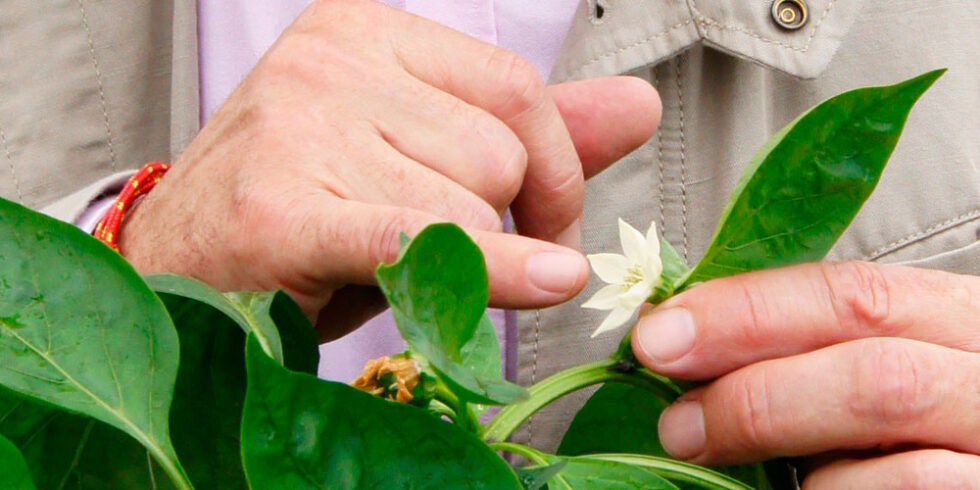 Le biocontrôle dans lagriculture JISA Agronutrients Engrais